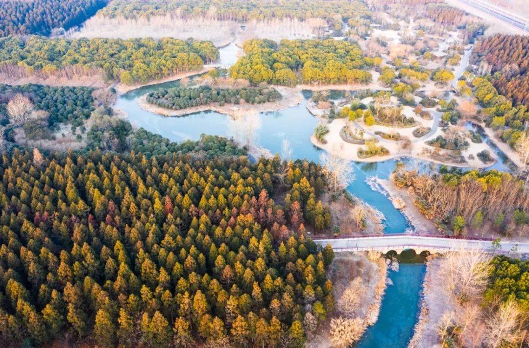 習近平：把碳達峰碳中和納入生態(tài)文明建設整體布局