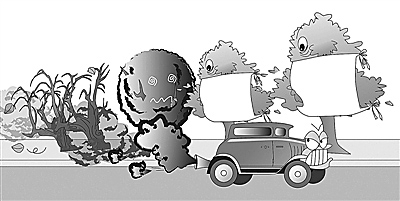 省生態(tài)環(huán)境廳、省公安廳來我市調(diào)研機(jī)動車污染防治工作
