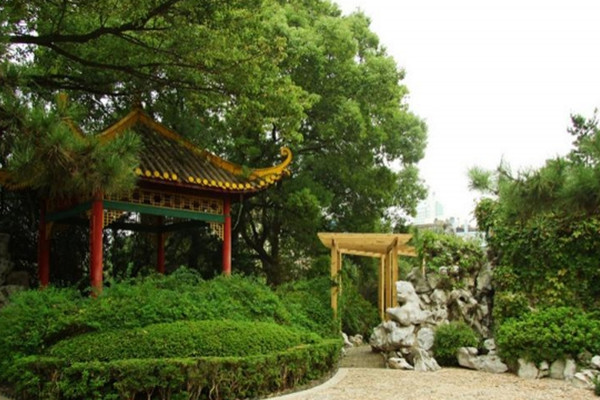 如何讓土地“變肥”，讓樹苗“夠吃”？