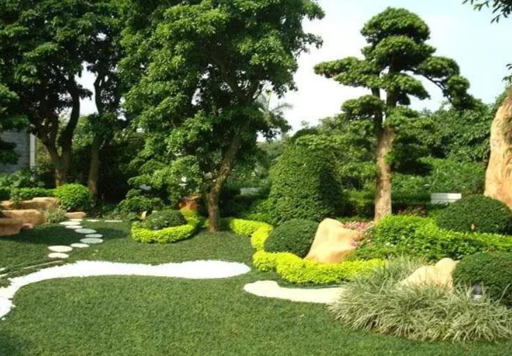 園林景觀設(shè)計(jì)之植物墻設(shè)計(jì)在哪些地方適合？